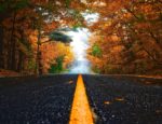 A road in the fall