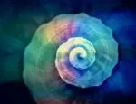 snail